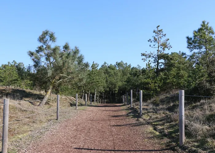 Charmante A 500m De La Plage, Calme Et Confort - Fr-1-364-57 Nyaraló